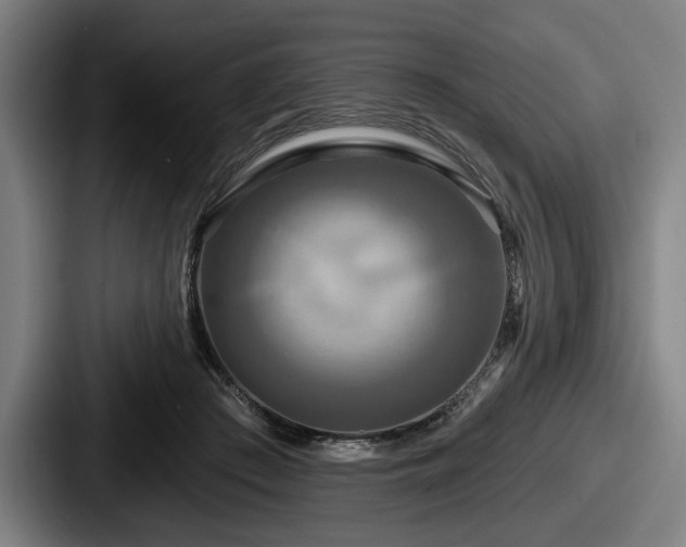 X0000087700409200705111407