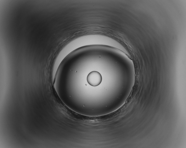 X0000087700411200705111407