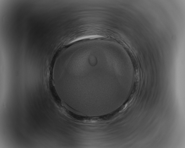 X0000087700412200705111407