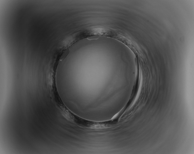 X0000087700413200705111407