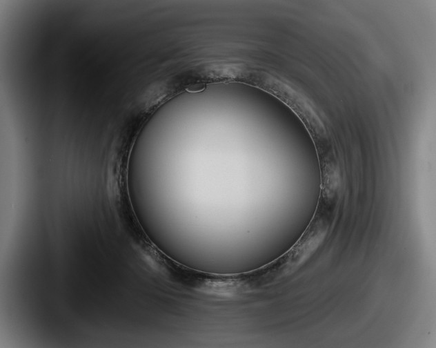 X0000087700414200705111407