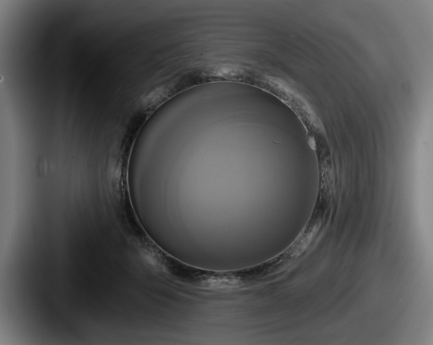 X0000087700415200705111407