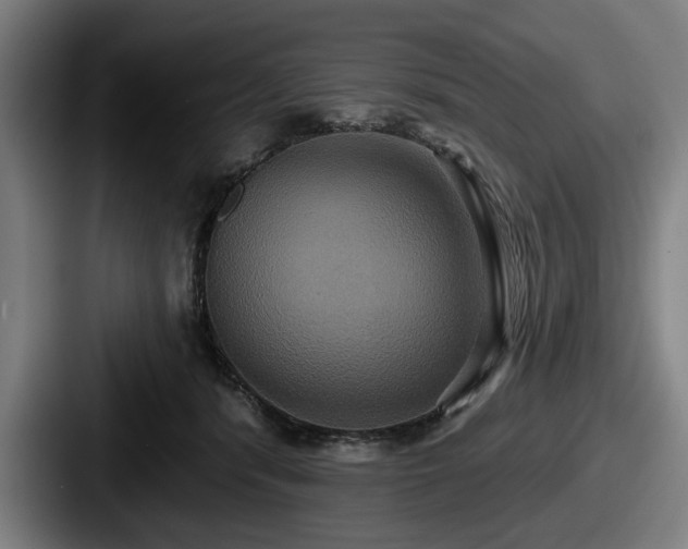 X0000087700416200705111407