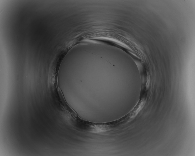 X0000087700417200705111407