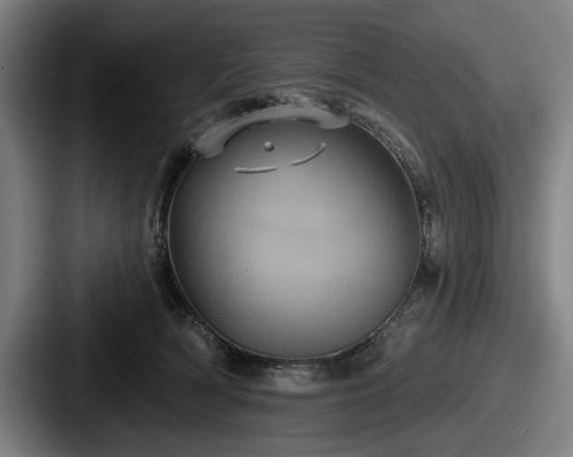 X0000087700418200705111407