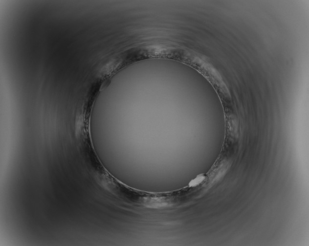 X0000087700419200705111407