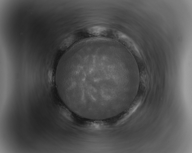 X0000087700420200705111407