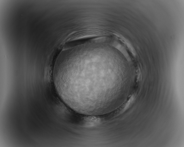 X0000087700421200705111407