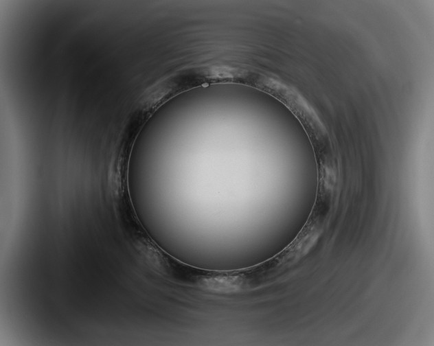 X0000087700422200705111406