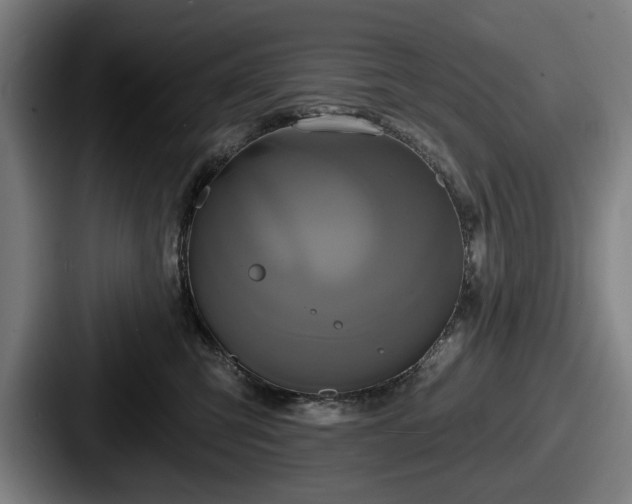 X0000087700423200705111406