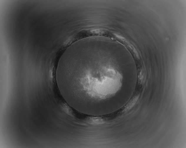 X0000087700424200705111406