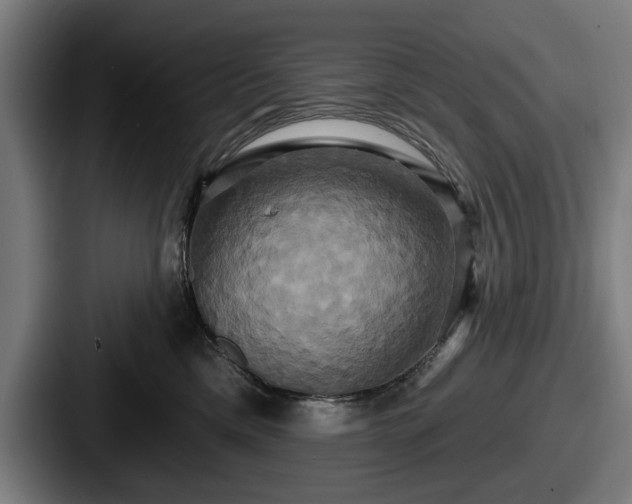 X0000087700425200705111406