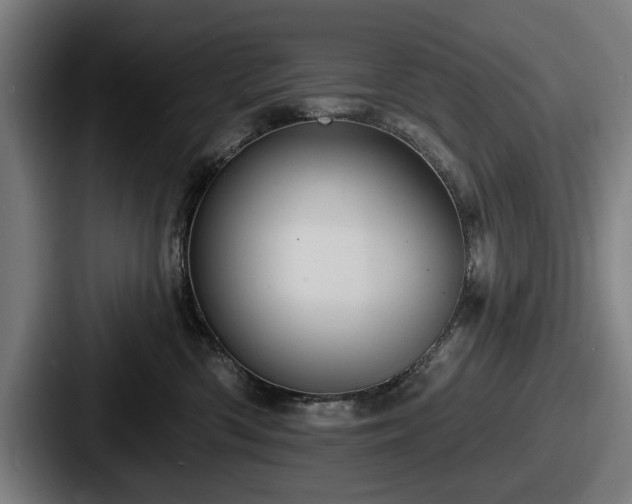 X0000087700426200705111406