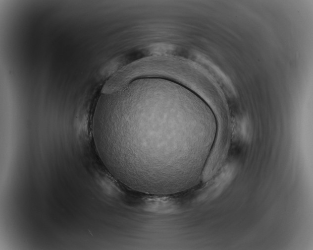 X0000087700428200705111406