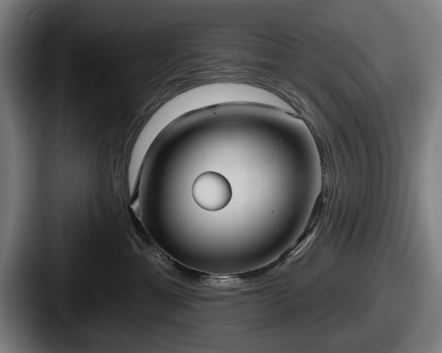 X0000087700429200705111406