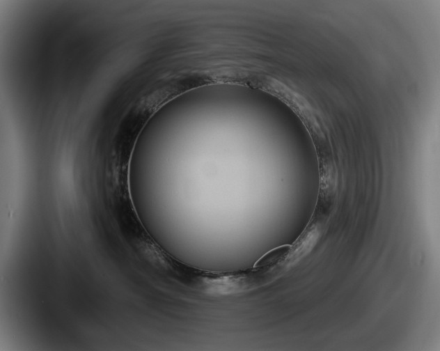 X0000087700430200705111406