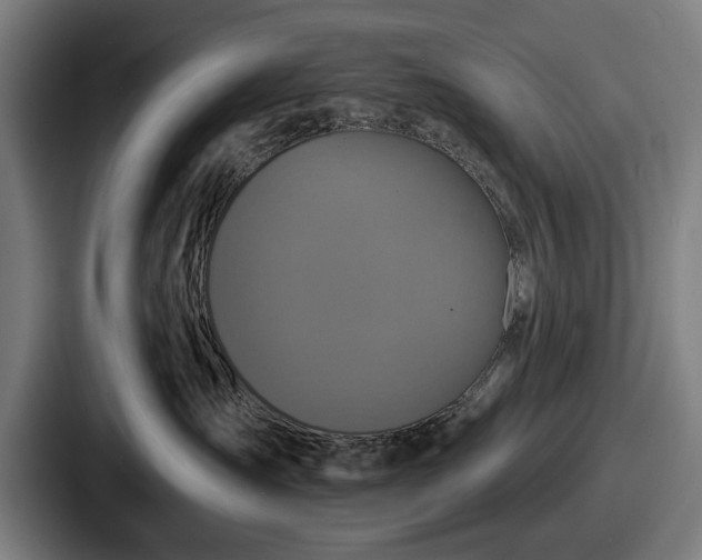 X0000087700431200705111406