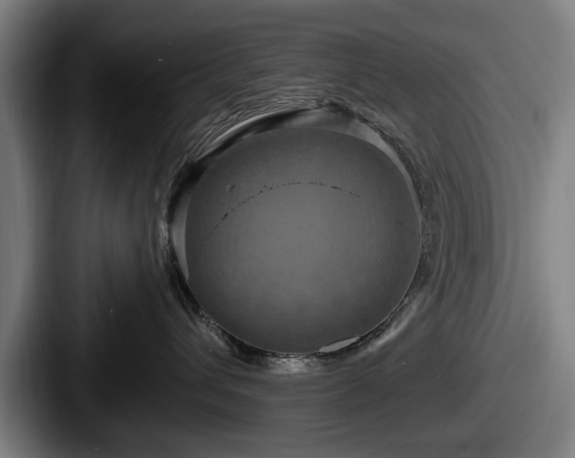 X0000087700432200705111406