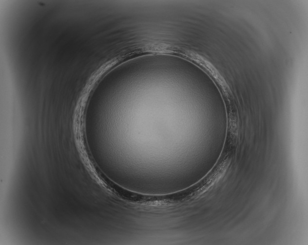 X0000087700433200705111406