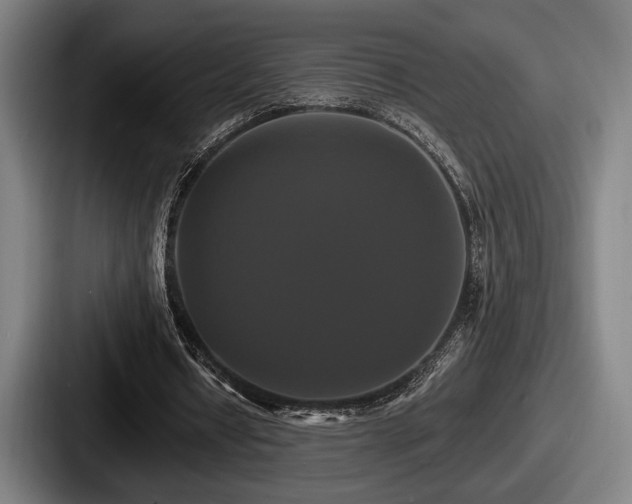 X0000087700434200705111406