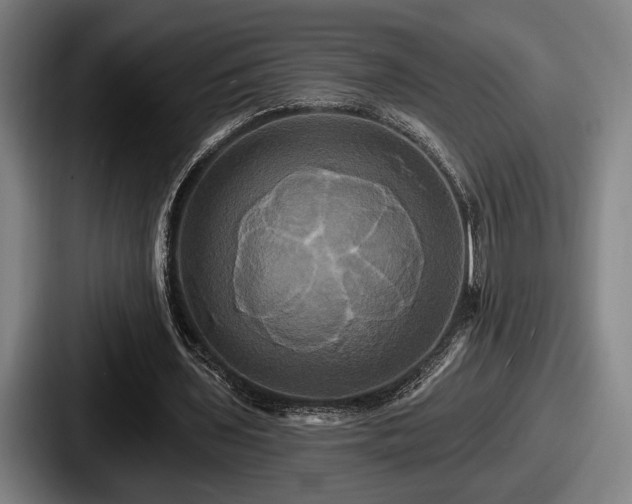 X0000087700435200705111406