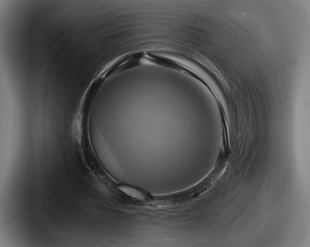 X0000087700436200705111406