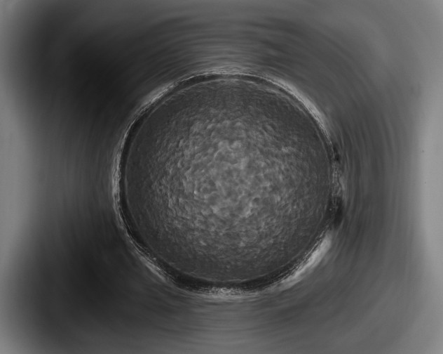 X0000087700437200705111406