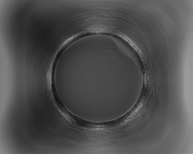 X0000087700438200705111406