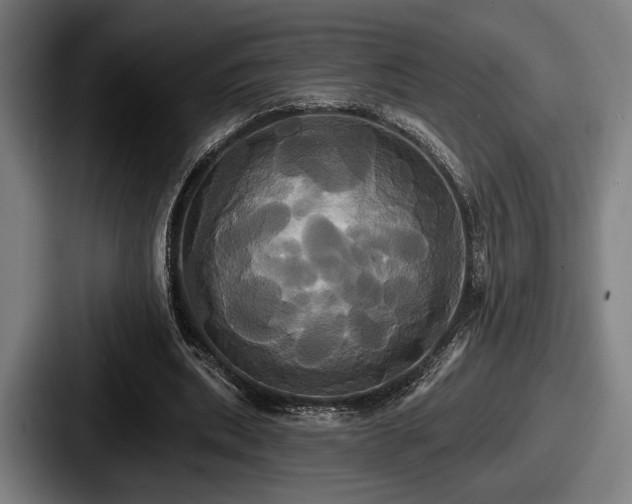 X0000087700439200705111406