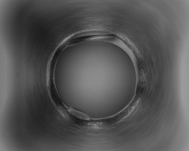 X0000087700440200705111406