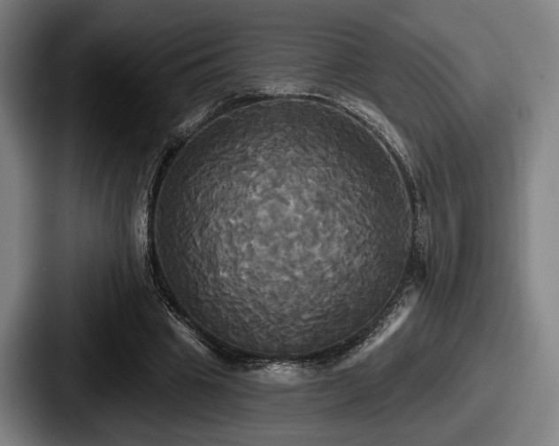 X0000087700441200705111406