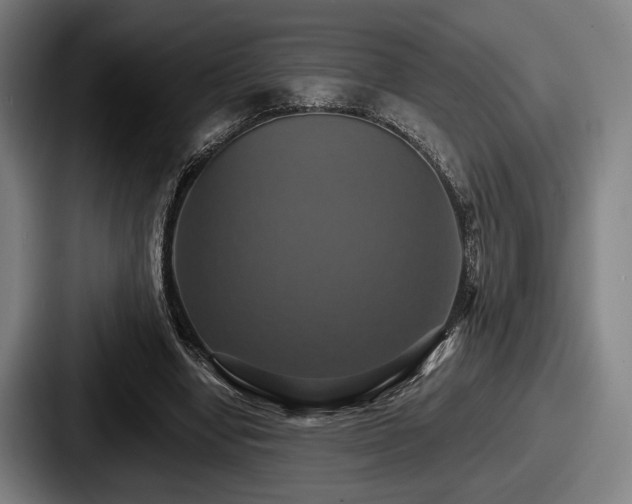 X0000087700442200705111406