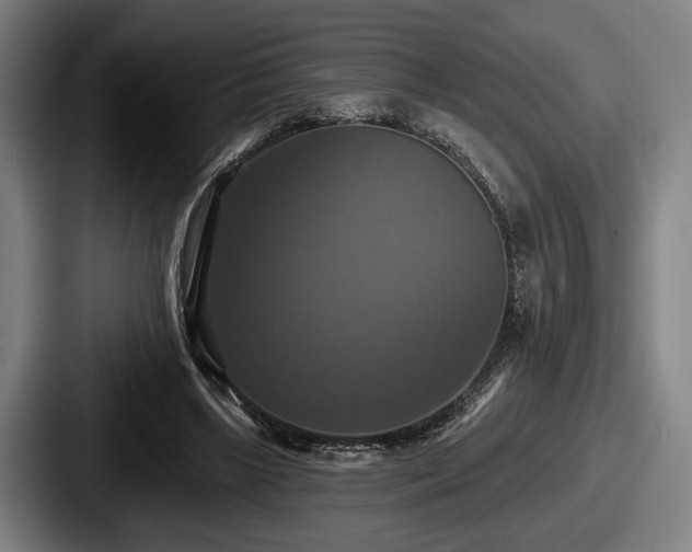 X0000087700443200705111406