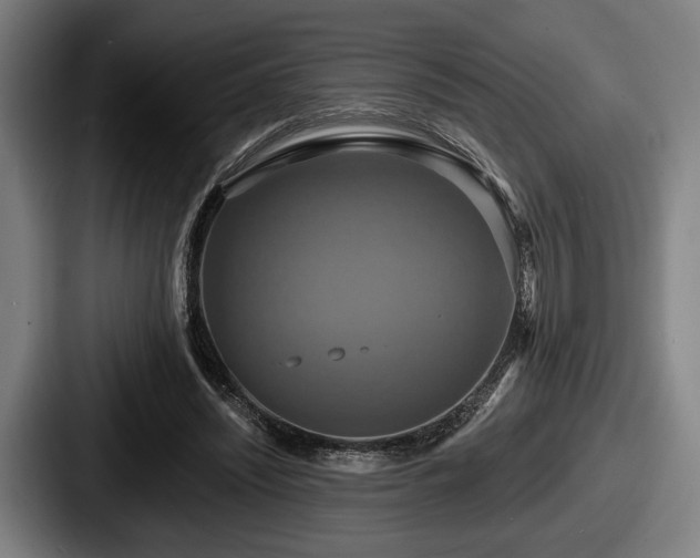 X0000087700444200705111406