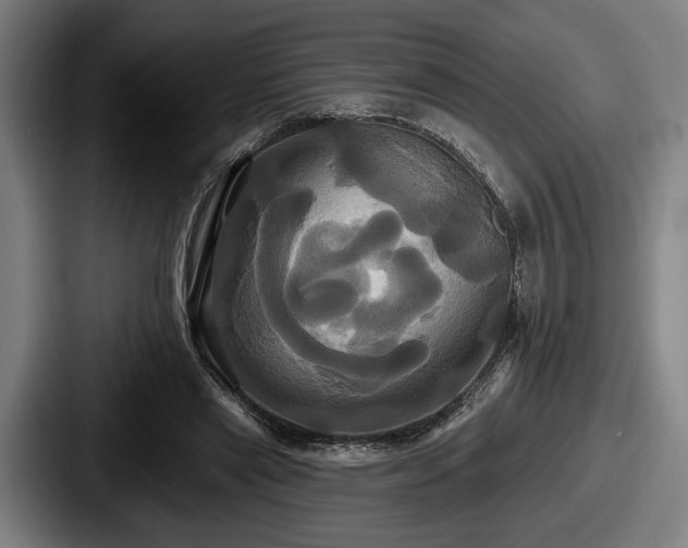 X0000087700445200705111406