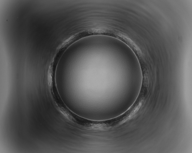 X0000087700446200705111406