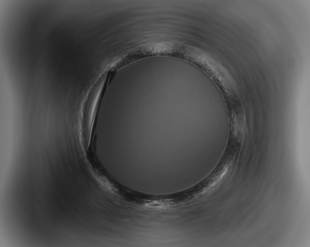 X0000087700447200705111406