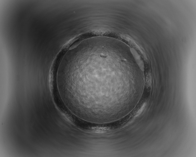 X0000087700448200705111406