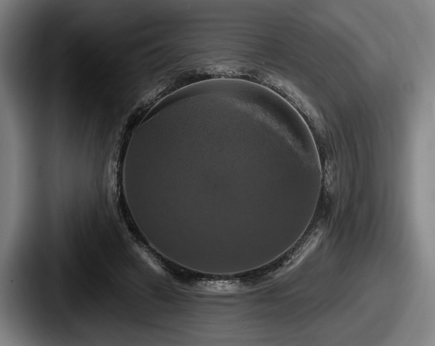 X0000087700449200705111406