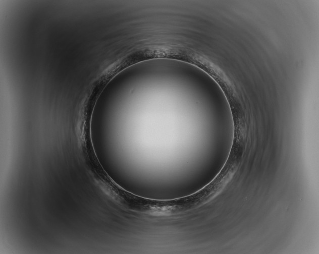 X0000087700450200705111406