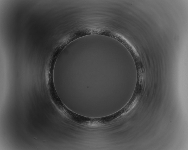 X0000087700451200705111406