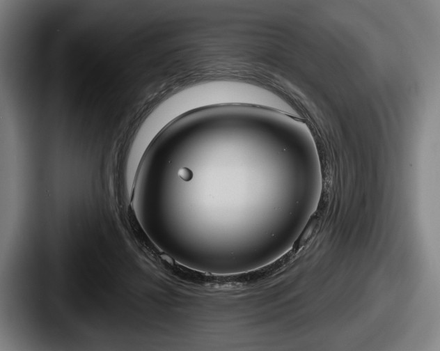 X0000087700452200705111406