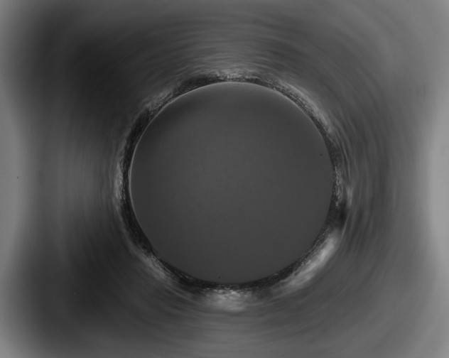 X0000087700453200705111406