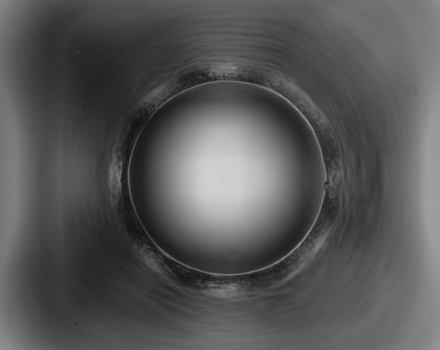 X0000087700454200705111406