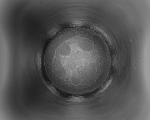 X0000087700455200705111406