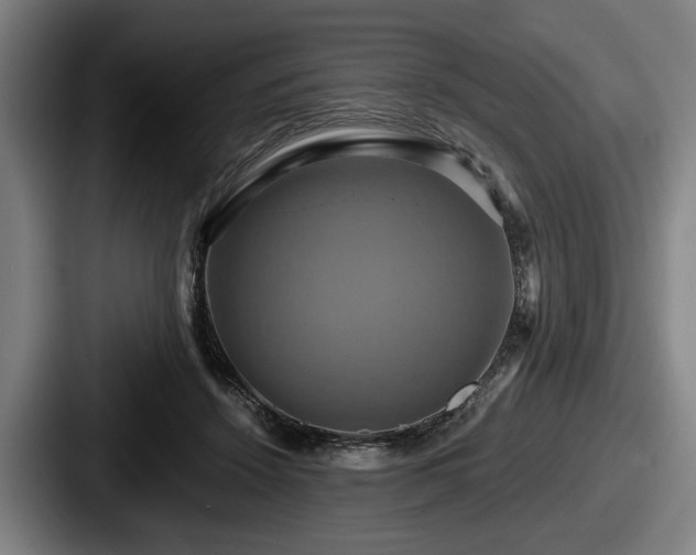 X0000087700456200705111406