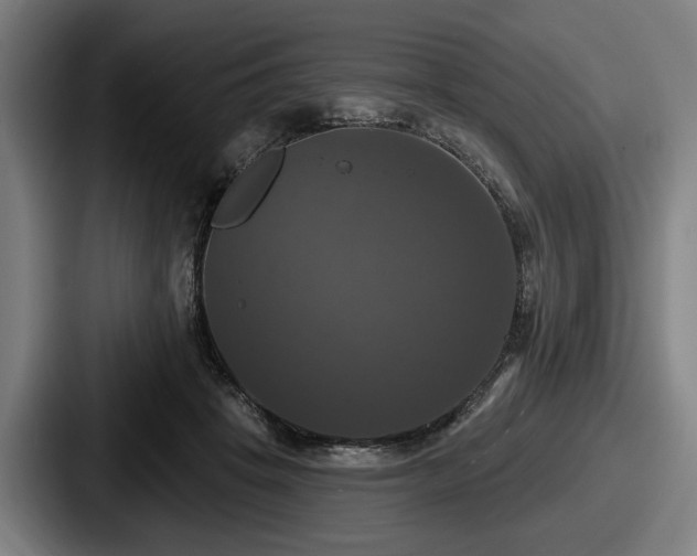 X0000087700457200705111406