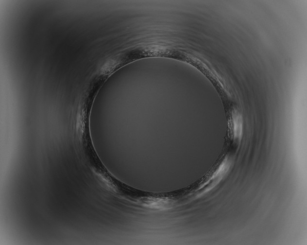 X0000087700458200705111406