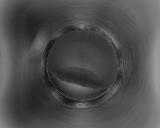 X0000087700461200705111406