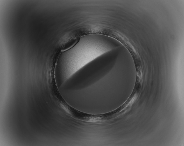 X0000087700462200705111406